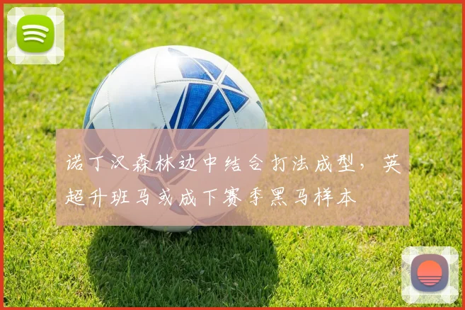 诺丁汉森林边中结合打法成型，英超升班马或成下赛季黑马样本